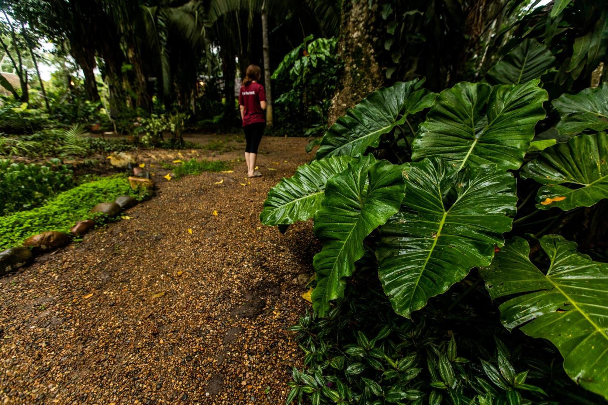 Kapievi Ecovillage Puerto Maldonado Eksteriør billede